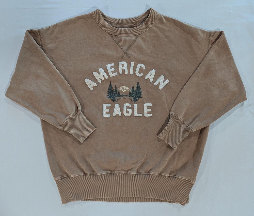 American Eagle Outfitters Sweatshirt Mens XS Beige Fleece Pullover Graphic